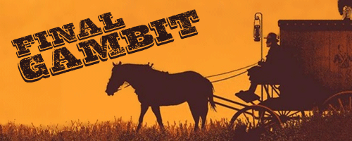 Final Gambit author illustration