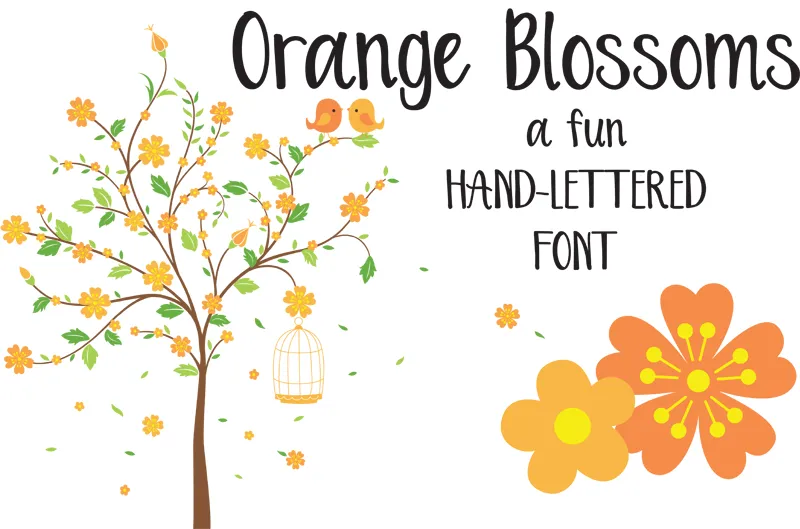 Orange Blossoms author illustration