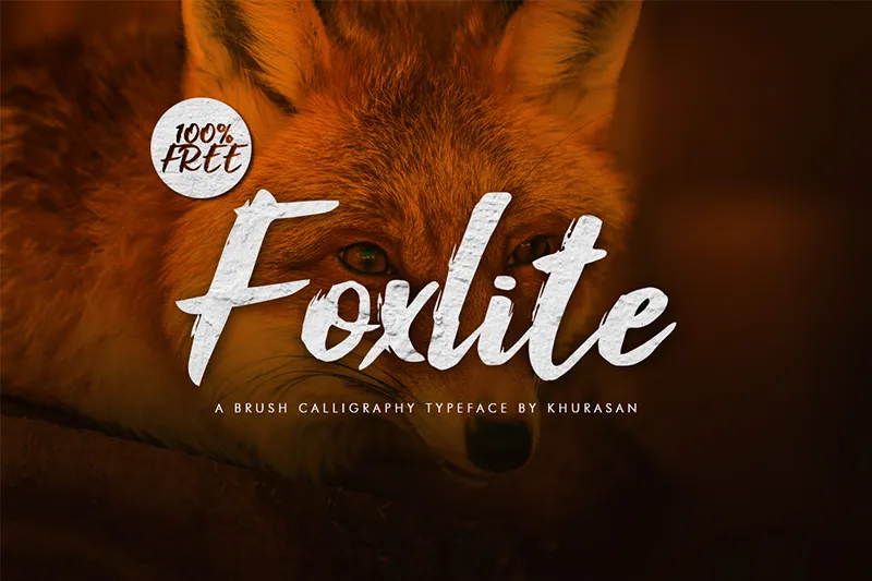 Foxlite Script author illustration