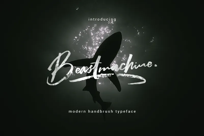 Beastmachine author illustration