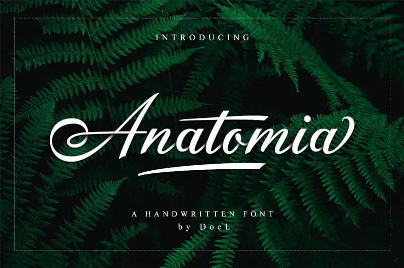 Anatomia author illustration