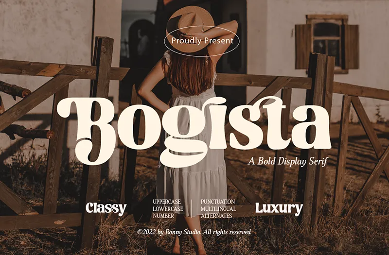 Bogista author illustration