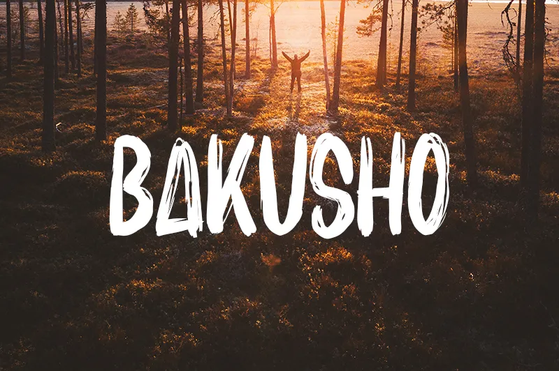 Bakusho author illustration