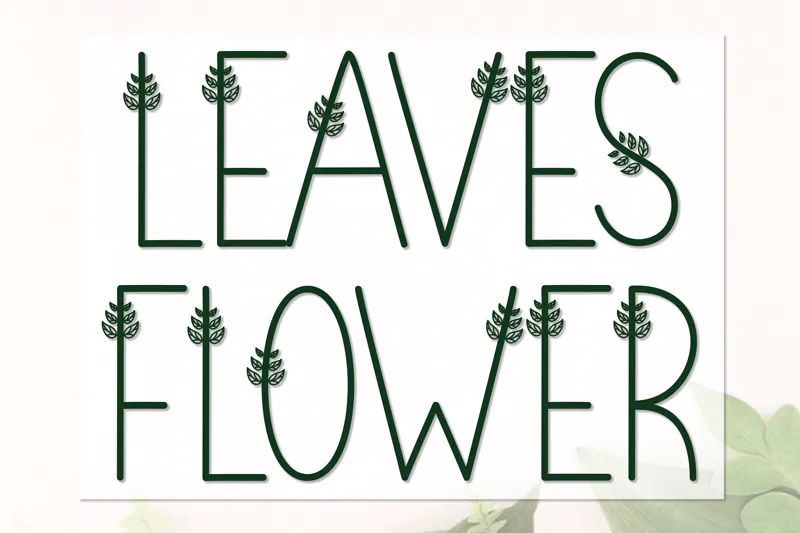 Leaves Flower author illustration