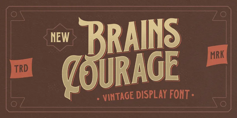 Brains Courage author illustration