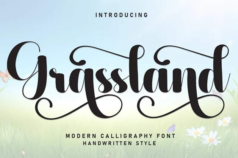 Grassland author illustration