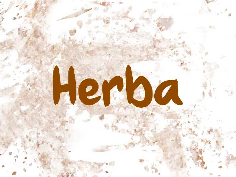 h Herba author illustration