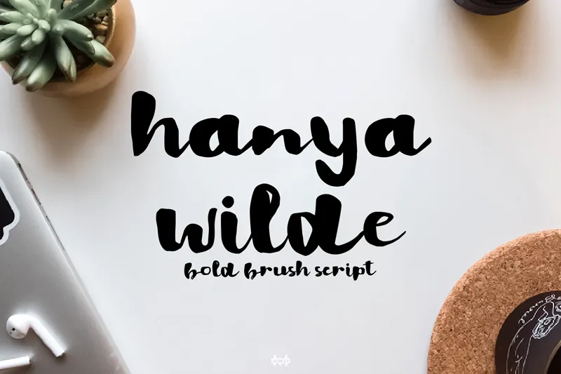 Hanya Willde author illustration