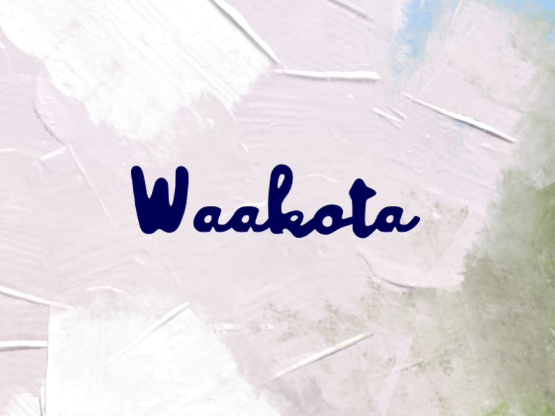 Waakota author illustration