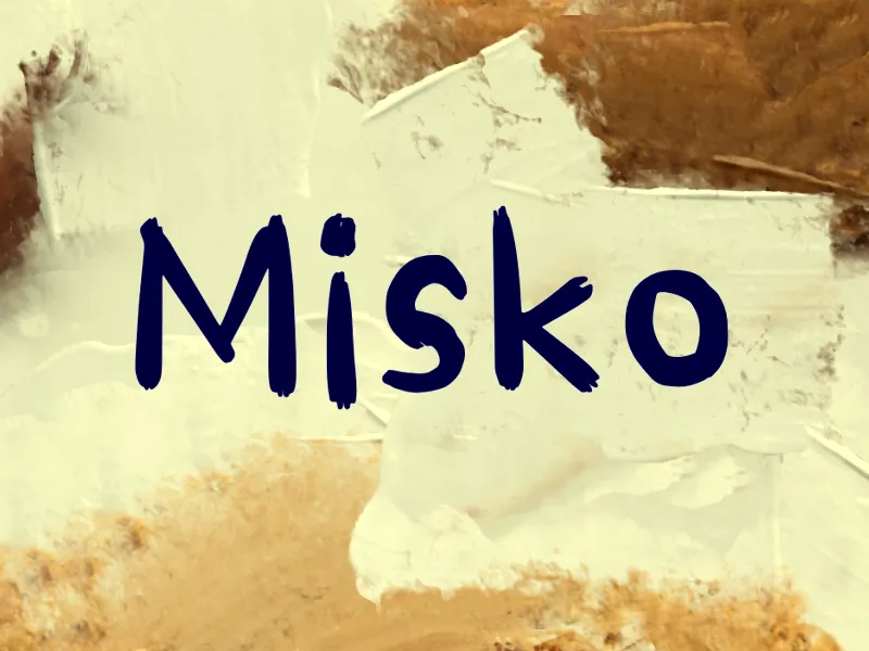 M Misko author illustration