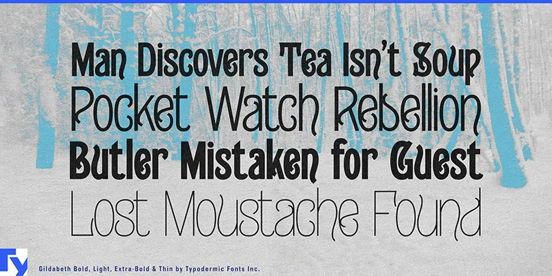 Gildabeth author illustration