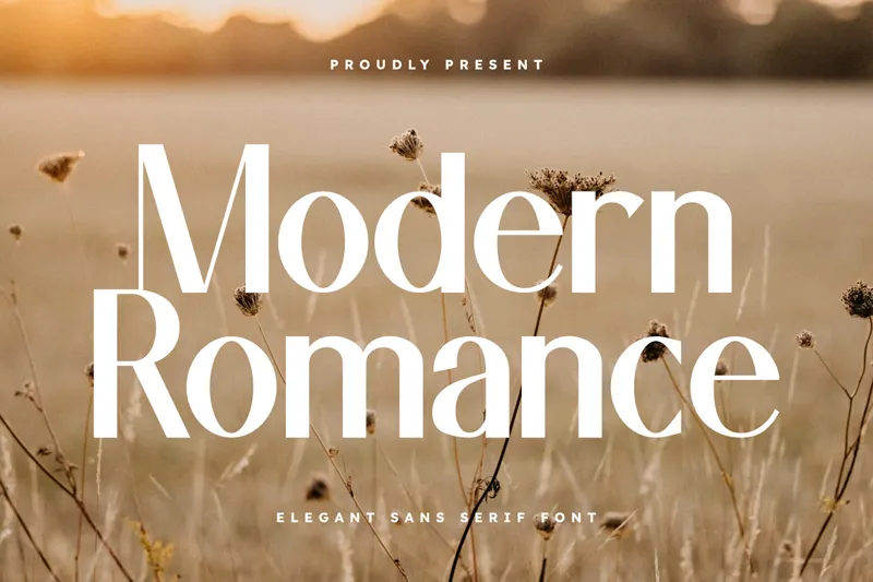 Modern Romance author illustration