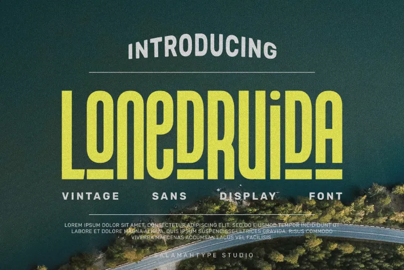 Lonedruida author illustration