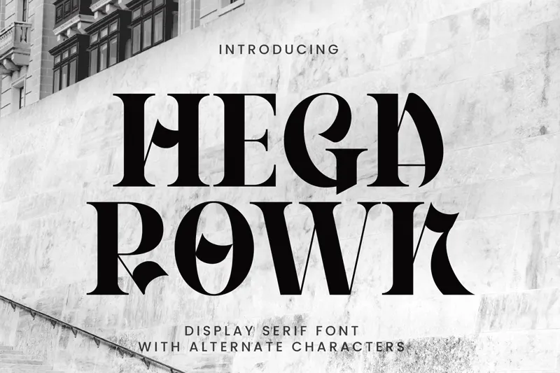 Hegarown author illustration