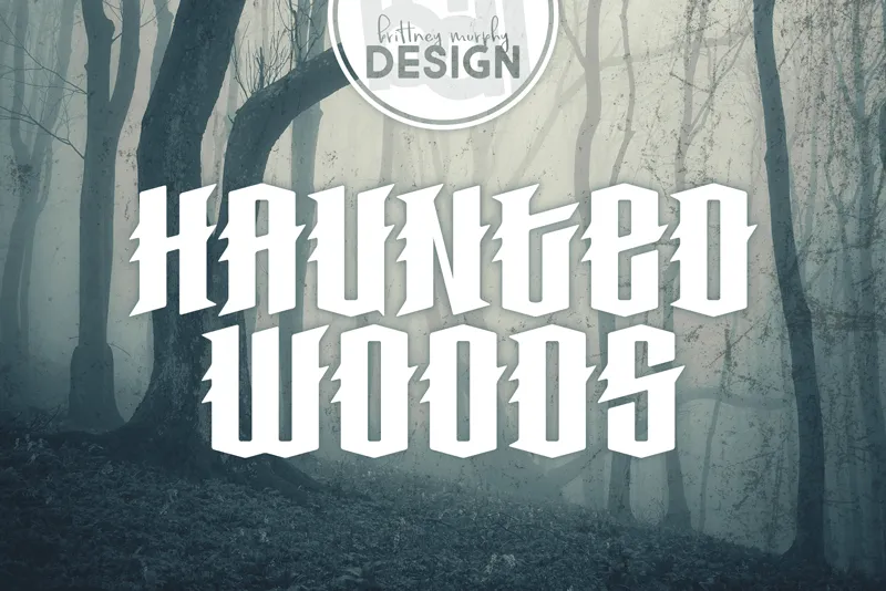 Haunted Woods author illustration