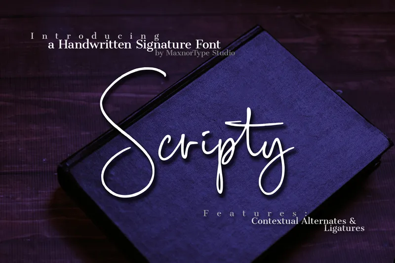Scripty author illustration