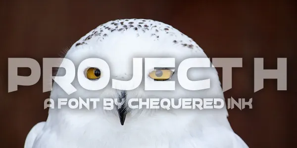 Project H author illustration