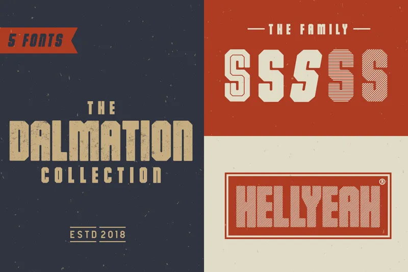 Dalmation author illustration