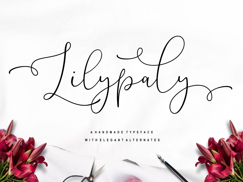 Lilypaly author illustration