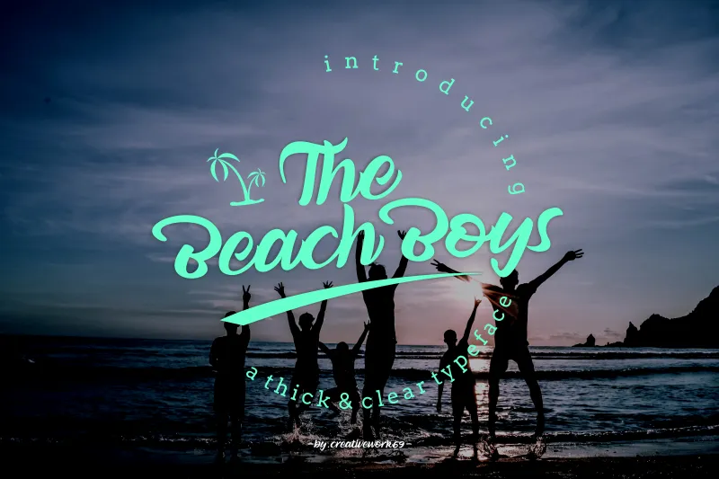 The Beach Boy author illustration