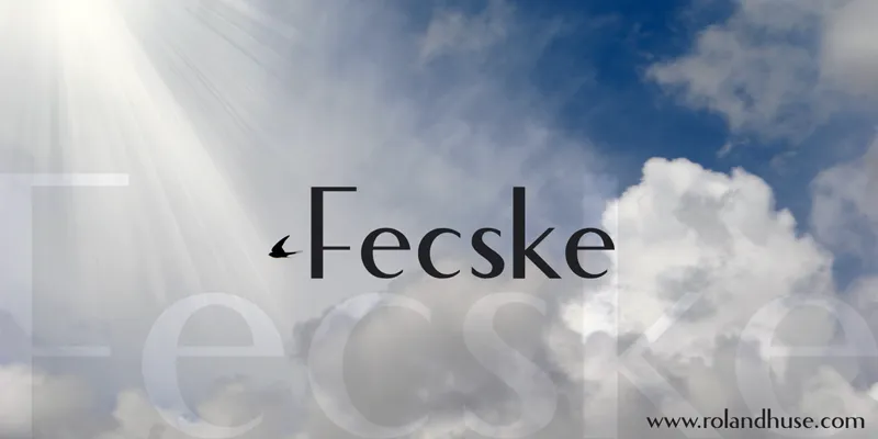 Fecske author illustration