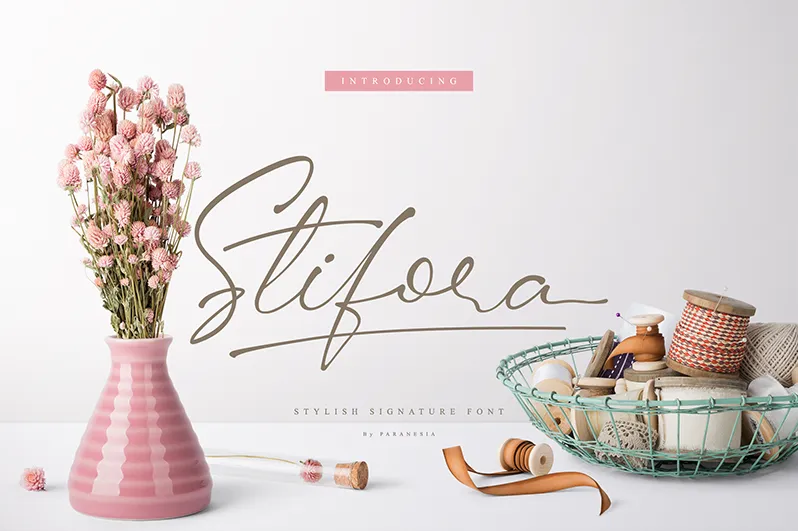 Stifora author illustration