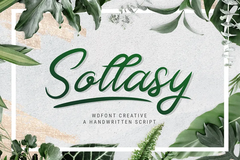 Sollasy author illustration