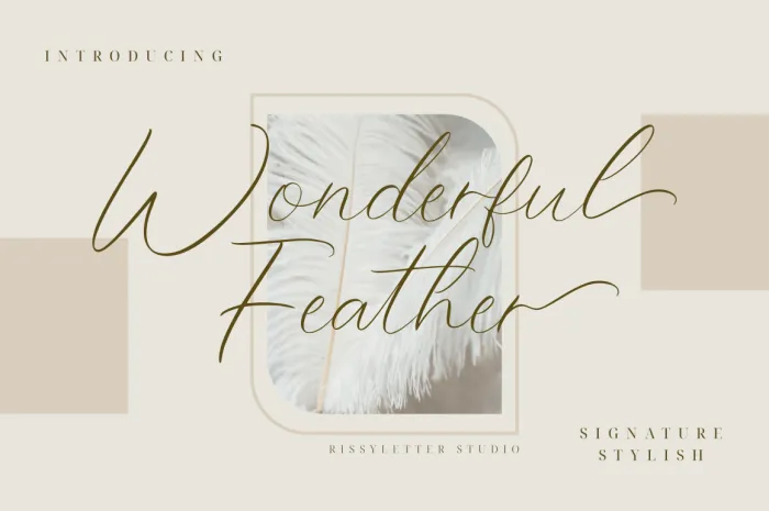 Wonderful Feather author illustration