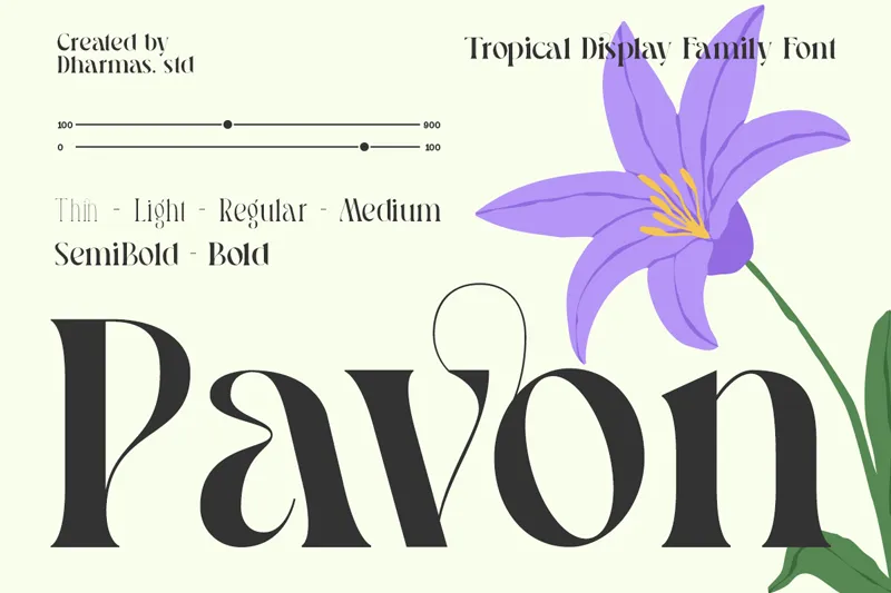 Pavon author illustration