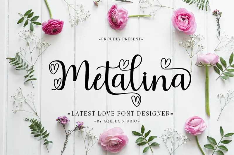 Metalina author illustration