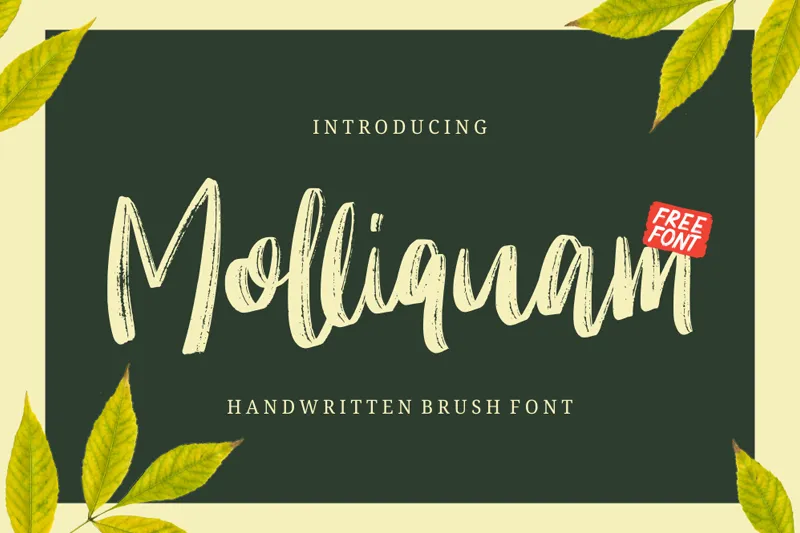Molliquam author illustration