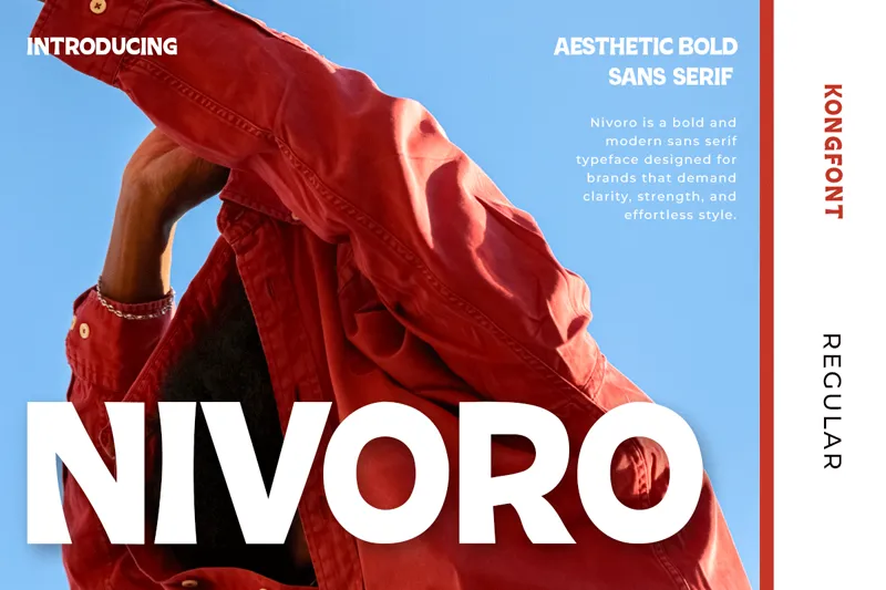Nivoro author illustration