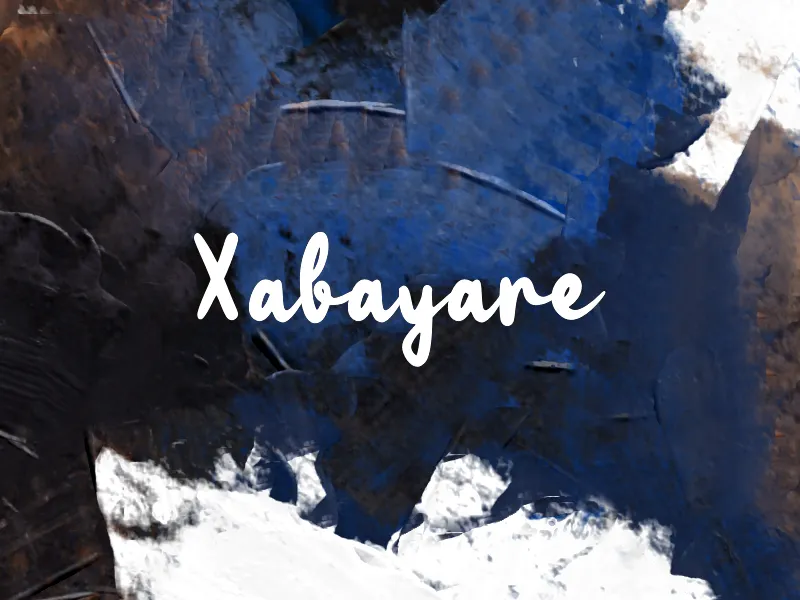 Xabayare author illustration