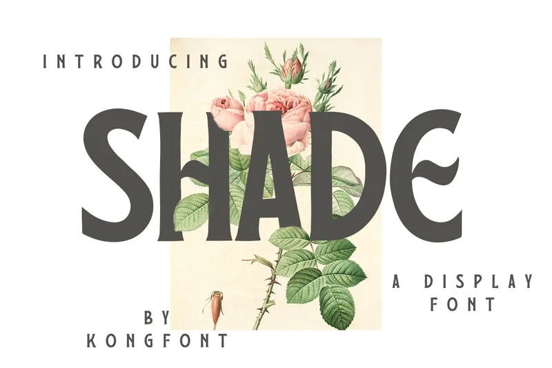 Shade author illustration