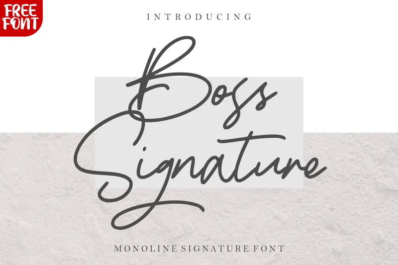 Boss Signature author illustration
