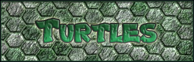 Turtles author illustration