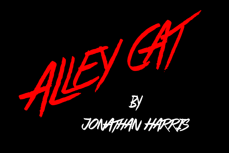 Alley Cat author illustration