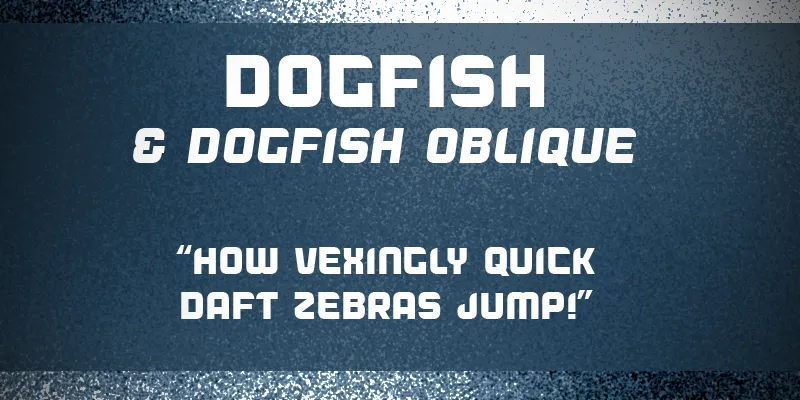 Dogfish author illustration