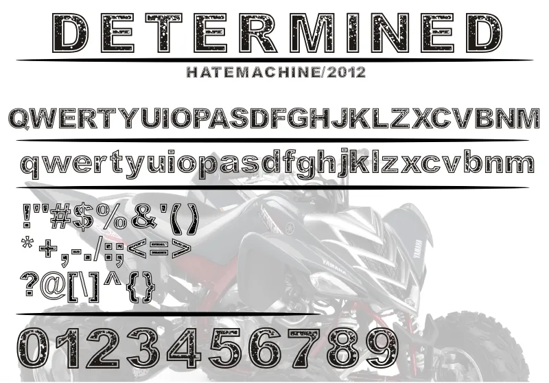 Determined author illustration