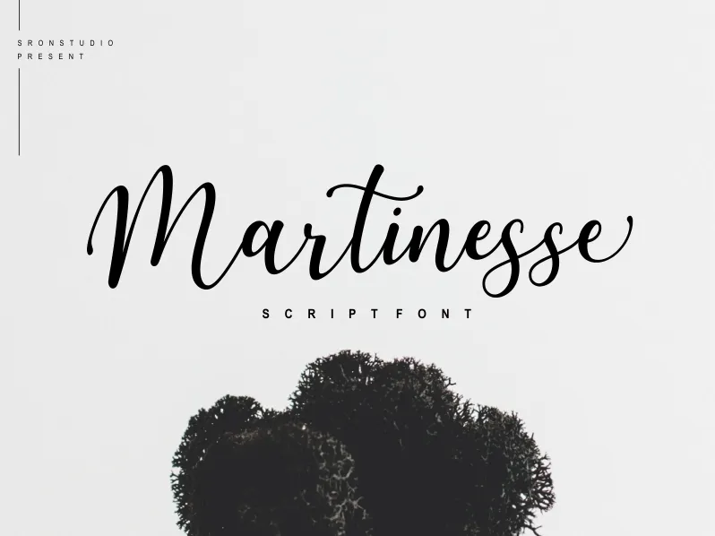 Martinesse author illustration
