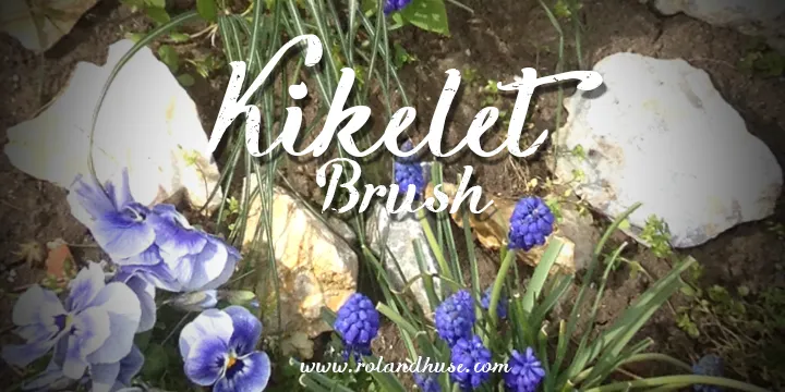 Kikelet Brush author illustration