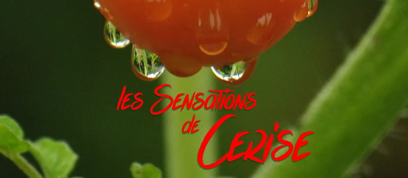 les Sensations de Cerise author illustration