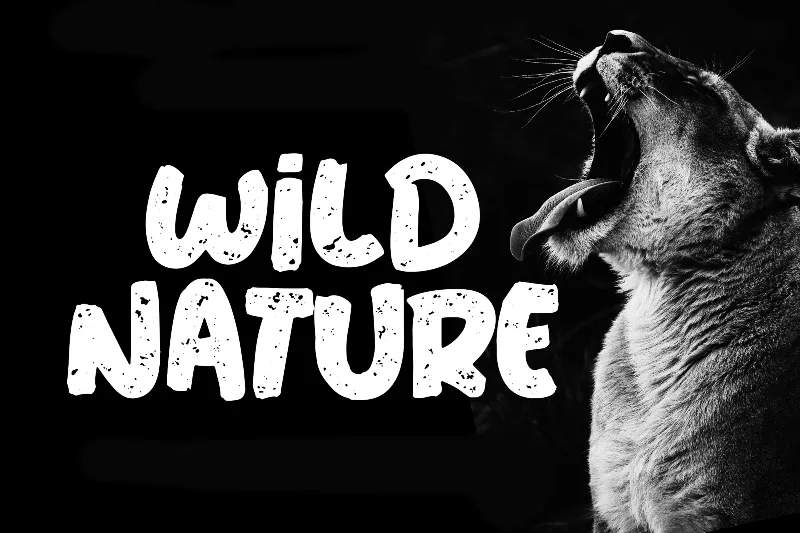 Wild Nature author illustration