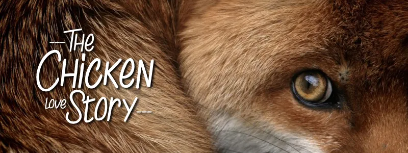 The Chicken love Story author illustration