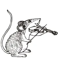 Zooland author illustration