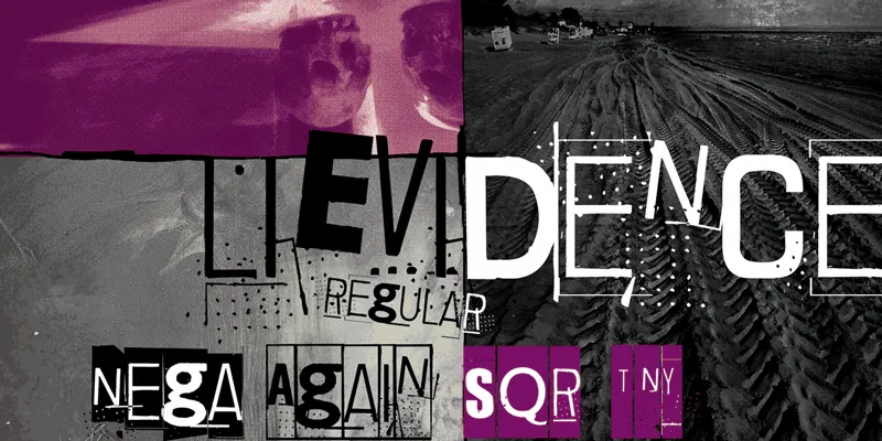 Lievidence author illustration