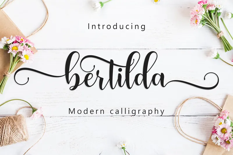 Bertilda author illustration