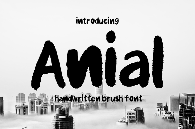 Anial author illustration