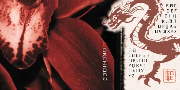 Orchidee author illustration