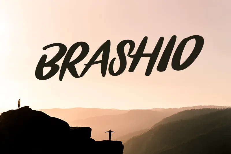 Brashio author illustration